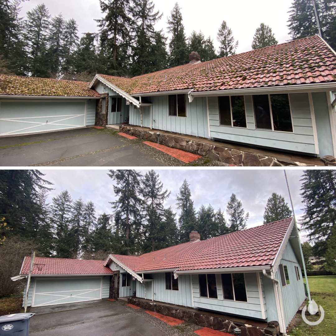 Clay & Concrete Tile Roof Cleaning