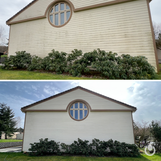 LAP Siding Soft Wash