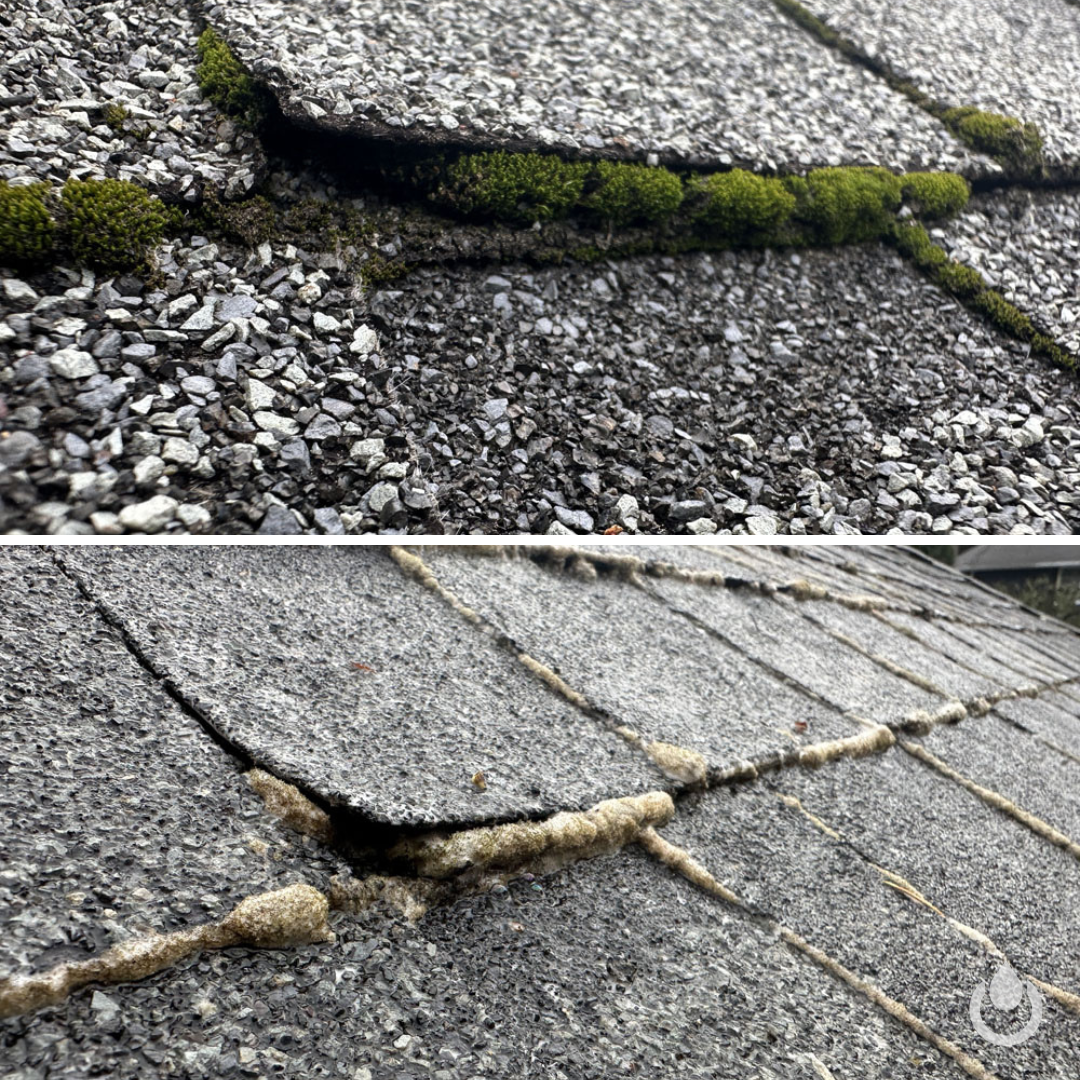 Roof Soft Wash & Moss Removal - Expectations