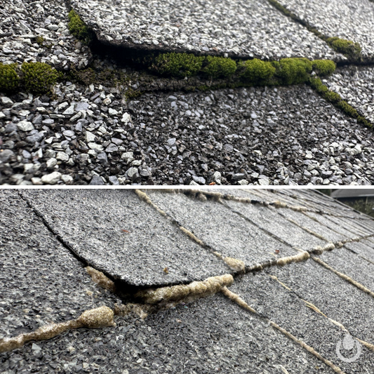 Roof Soft Wash & Moss Removal - Expectations