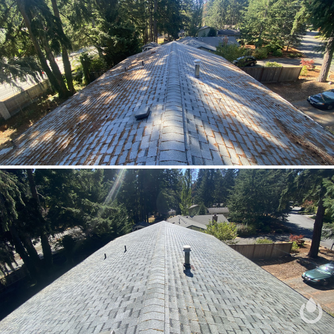 Asphalt Shingle Roof Cleaning