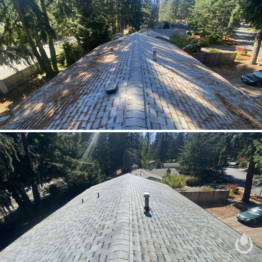 Asphalt Shingle Roof Cleaning