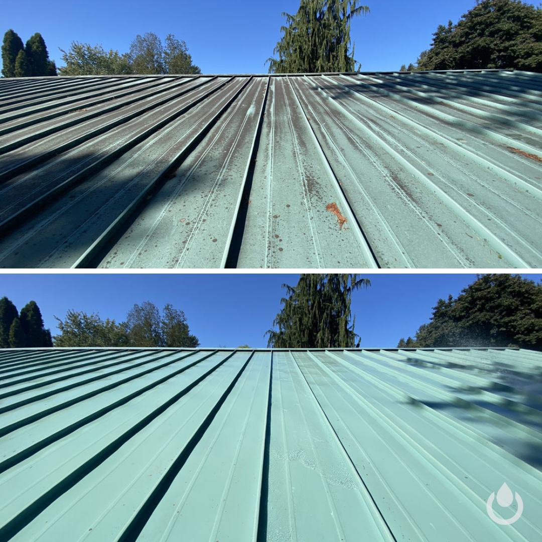 Metal & Corrugated Roof Cleaning