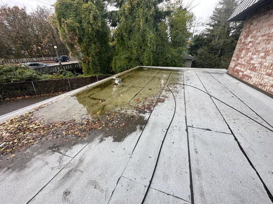 Rubber & Membrane Roof Cleaning